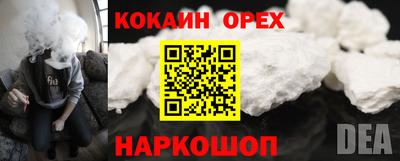стафф Партизанск