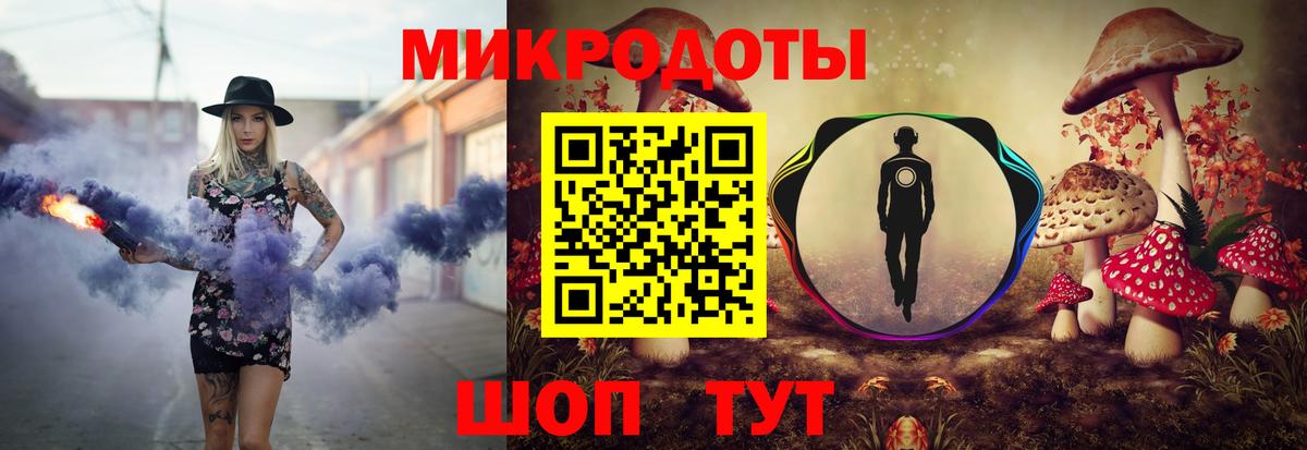 Галлюциногенные грибы Cubensis Псков